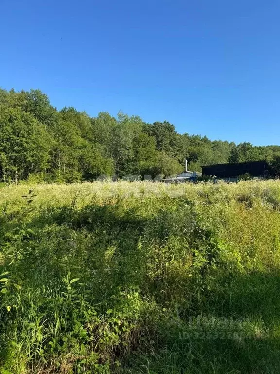 Участок в Краснодарский край, Горячий Ключ муниципальный округ, пос. ... - Фото 2