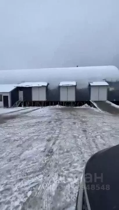 Склад в Московская область, Ленинский городской округ, д. Андреевское, ... - Фото 0