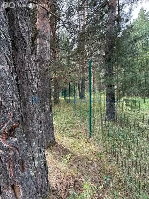 Участок в Белорецкий район, село Абзаково (3 м) - Фото 2