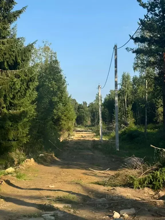 Участок в Ленинградская область, Всеволожский район, Куйвозовское ... - Фото 0