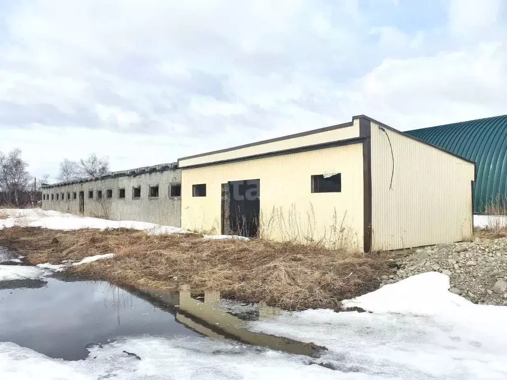 Склад в Камчатский край, Елизовский муниципальный округ, пос. Двуречье ... - Фото 1