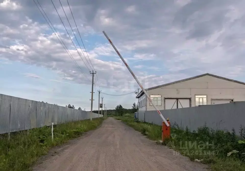 Участок в Ленинградская область, Ломоносовский район, Виллозское ... - Фото 0