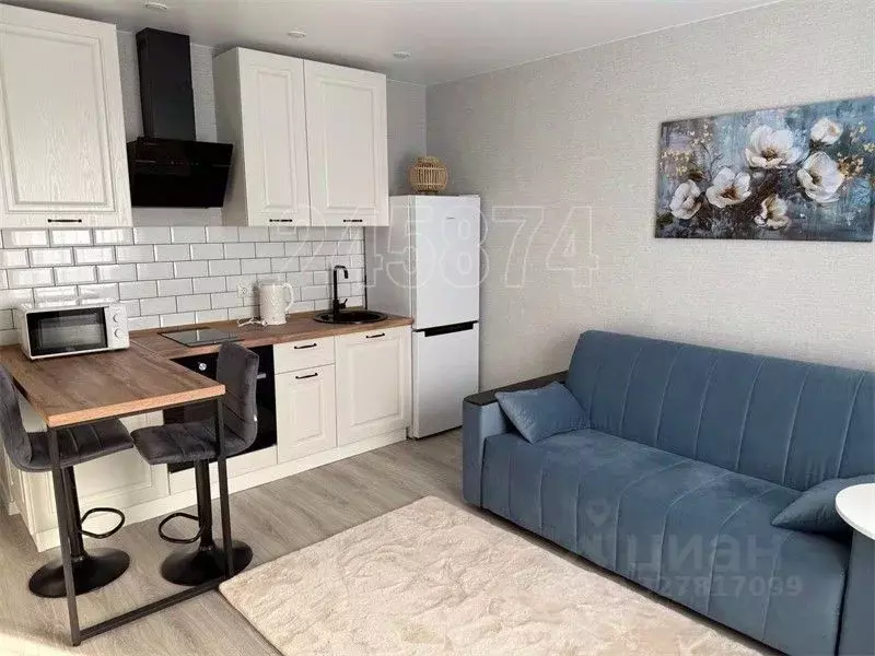 Студия Московская область, Лобня ул. Колычева, 6 (24.0 м) - Фото 2