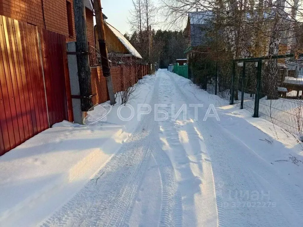 Участок в Тюменская область, Тюменский муниципальный округ, Сапожок ... - Фото 2