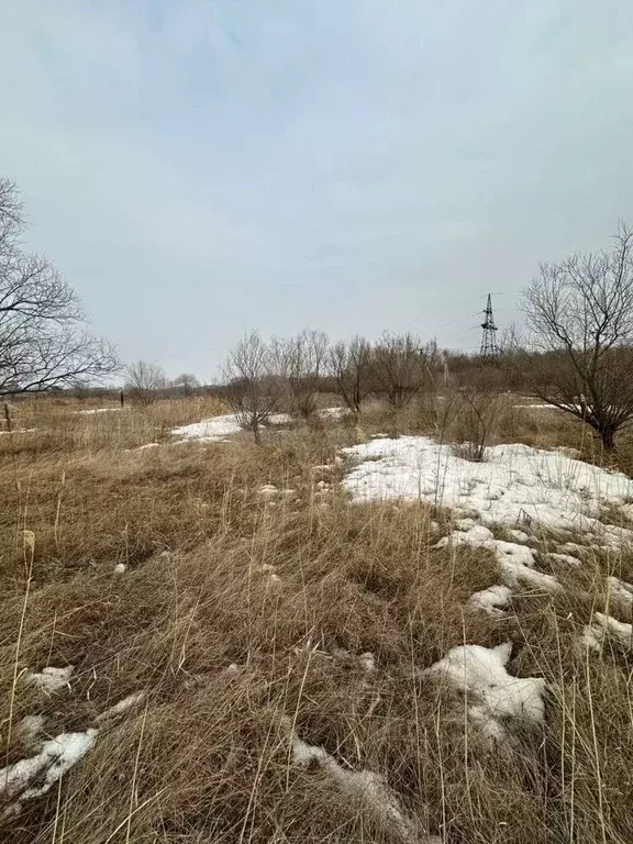Участок 8,1 га (СНТ, ДНП) - Фото 1
