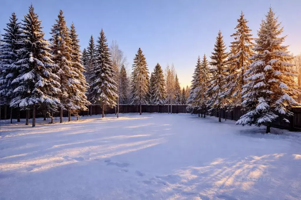 Участок в Московская область, Одинцовский городской округ, д. Супонево ... - Фото 1