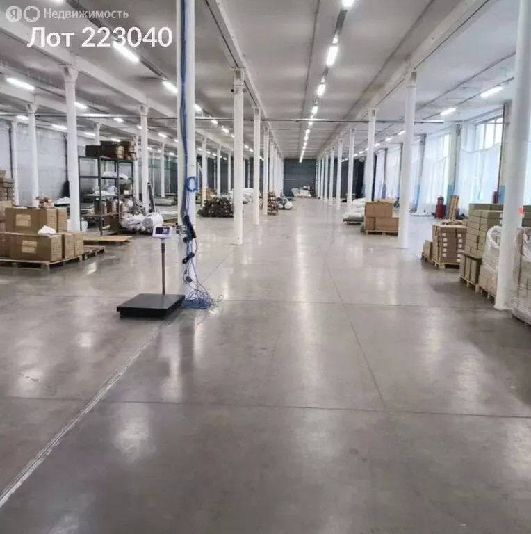 Помещение свободного назначения (800 м) - Фото 2