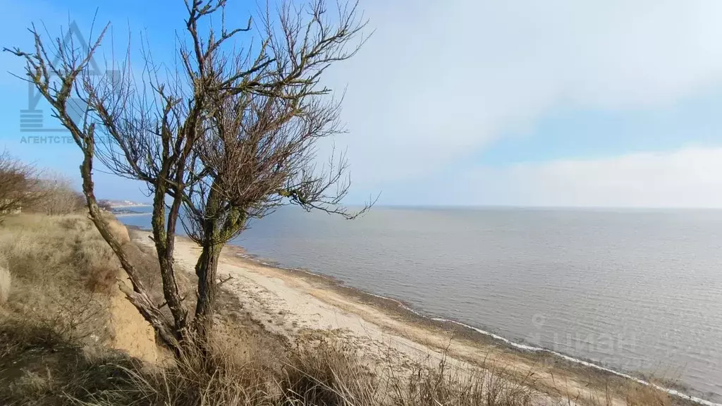 Участок в Ростовская область, Неклиновский район, Новобессергеневское ... - Фото 0
