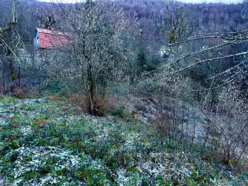 Участок в Краснодарский край, Сочи городской округ, с. Солохаул ул. ... - Фото 1