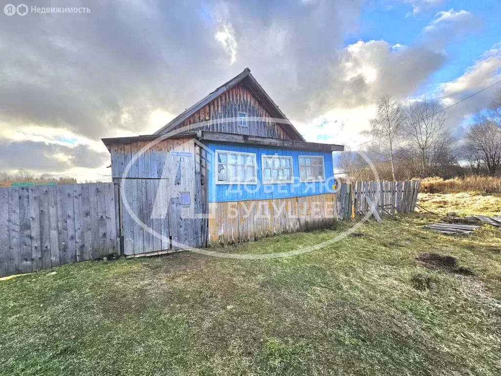 Дом в Большая Уса, Садовый переулок, 3 (33.1 м) - Фото 1