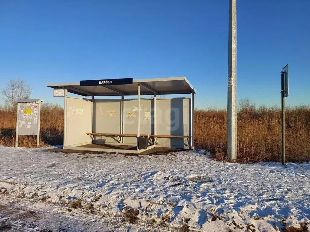 Участок в Тюменская область, Тюмень Царево садовое товарищество, 357 ... - Фото 1