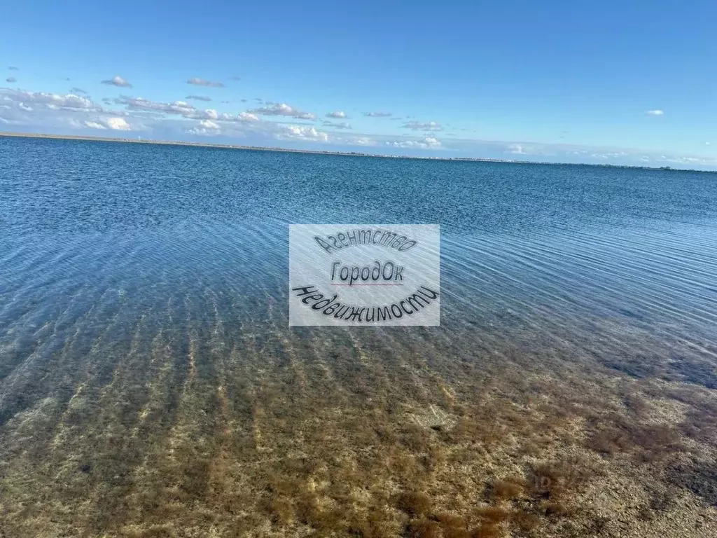 Участок в Крым, Черноморский район, Медведевское с/пос, пос. Озеровка  ... - Фото 2