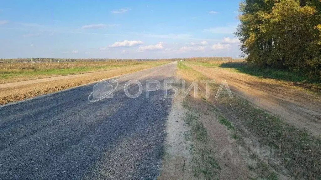Участок в Тюменская область, Тюменский район, с. Кулаково тракт ... - Фото 1