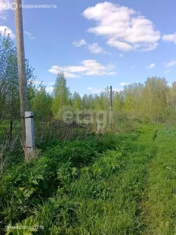 Участок в Томский район, садовое товарищество Надежда-1 (6.47 м) - Фото 1