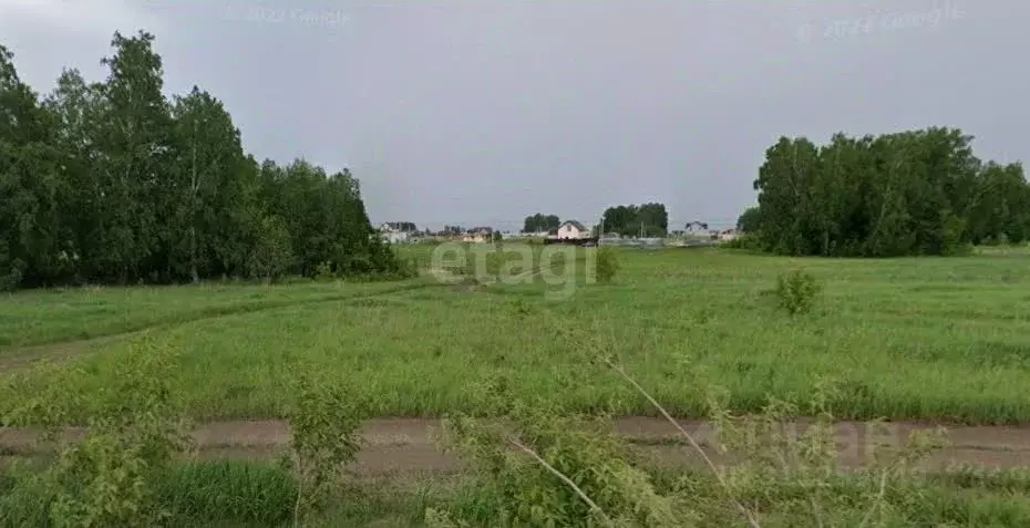 Участок в Новосибирская область, Новосибирский район, Морской ... - Фото 1