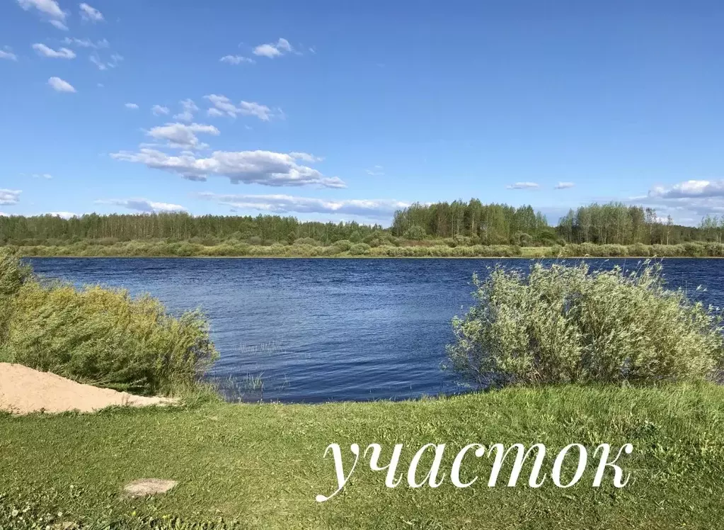 Участок в Псковская область, Палкинский район, Палкинская волость  ... - Фото 0