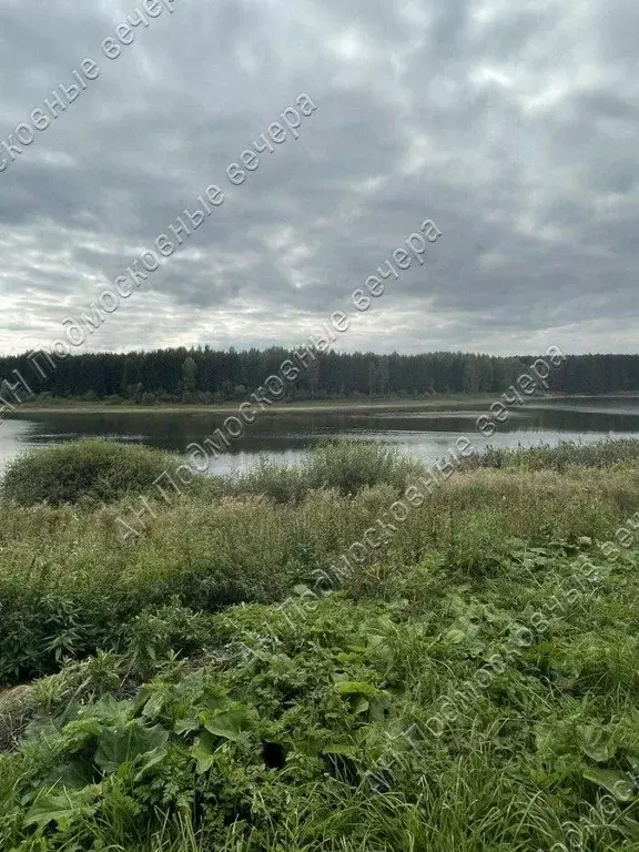 Участок в Смоленская область, Сычевский муниципальный округ, д. ... - Фото 2