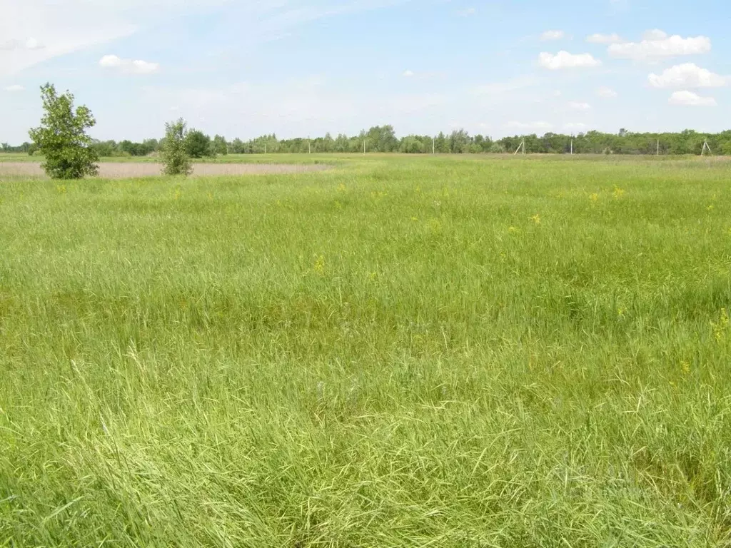 Участок в Волгоградская область, Ленинский район, Каршевитское с/пос, ... - Фото 2