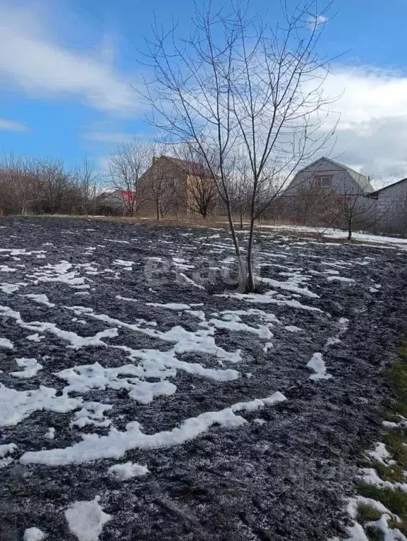 Участок в Белгородская область, Валуйки Центральная ул. (10.0 сот.) - Фото 0