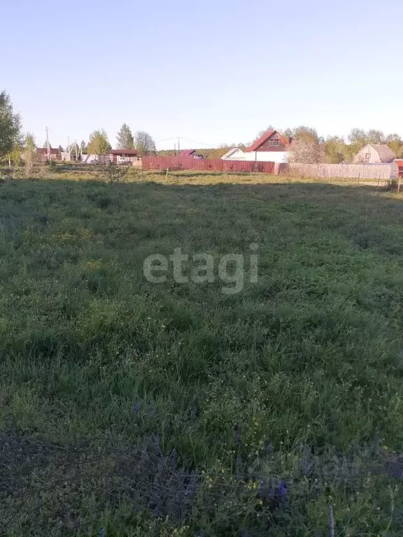 Участок в Костромская область, Красносельский район, Чапаевское с/пос, ... - Фото 1