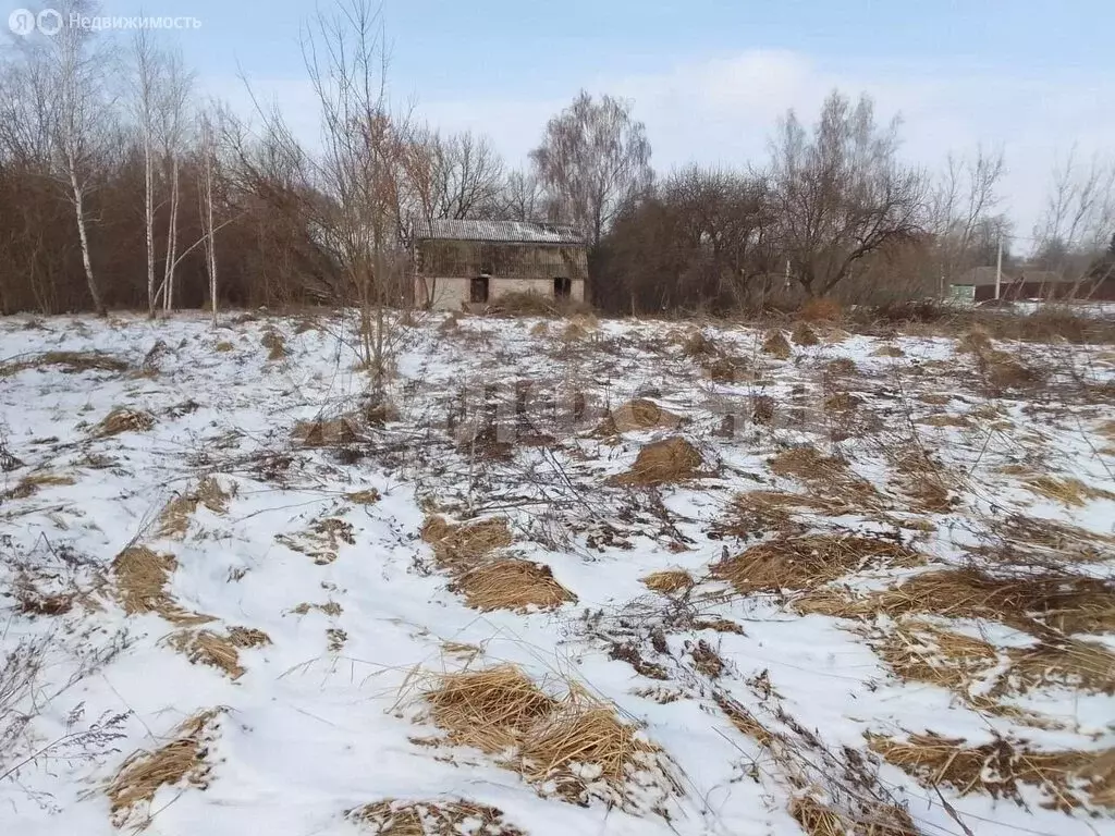 Участок в деревня Меркульево, Советская улица (28.5 м) - Фото 2