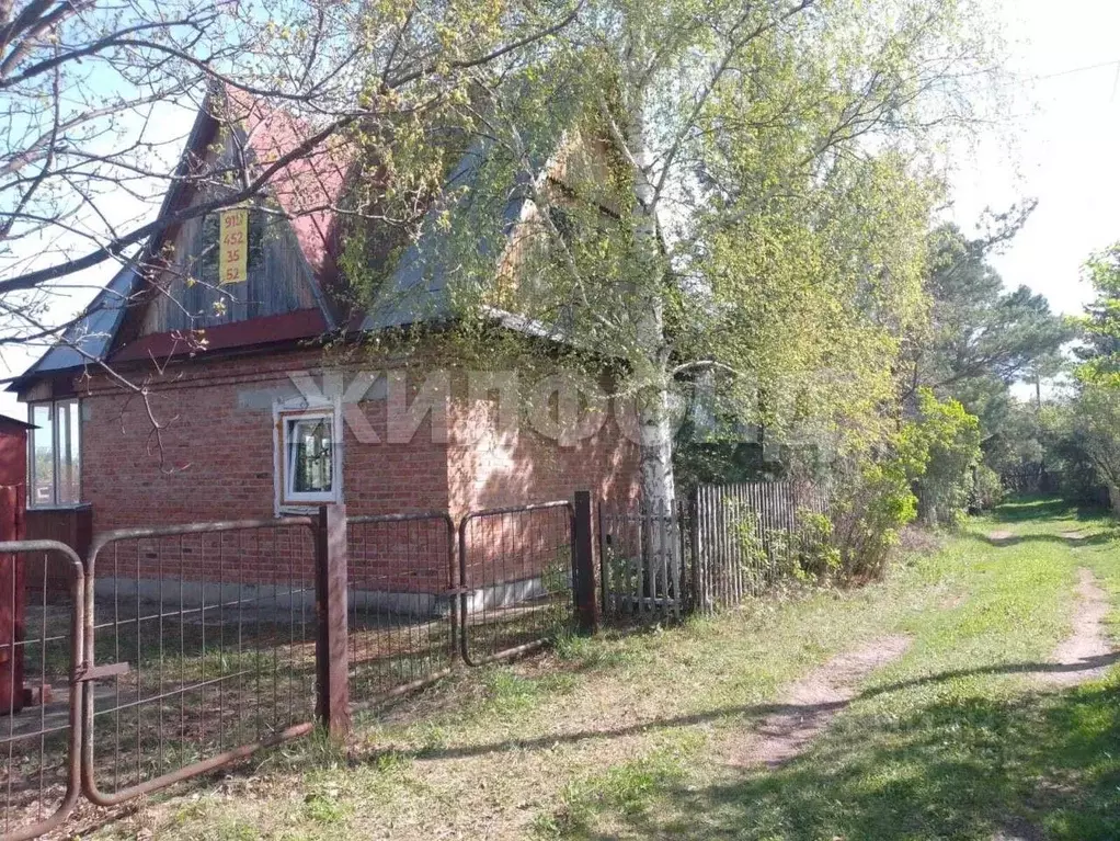 Дом в Новосибирская область, Колыванский район, Луговое СТ  (66 м) - Фото 0