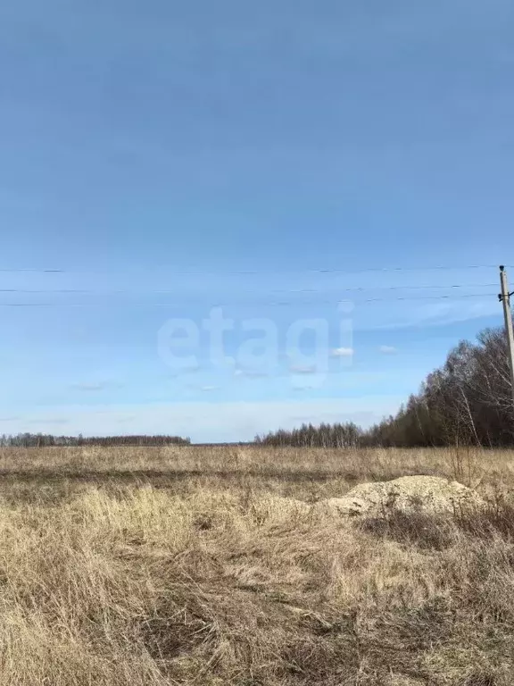 Участок в Тульская область, Тула городской округ, д. Ратово 39 (81.77 ... - Фото 1