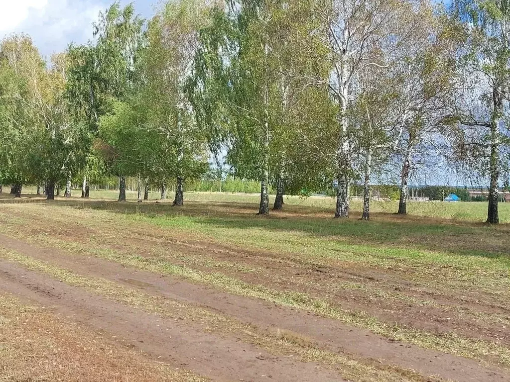 Участок в Татарстан, Арск муниципальное образование, с. Старый Айван ... - Фото 0