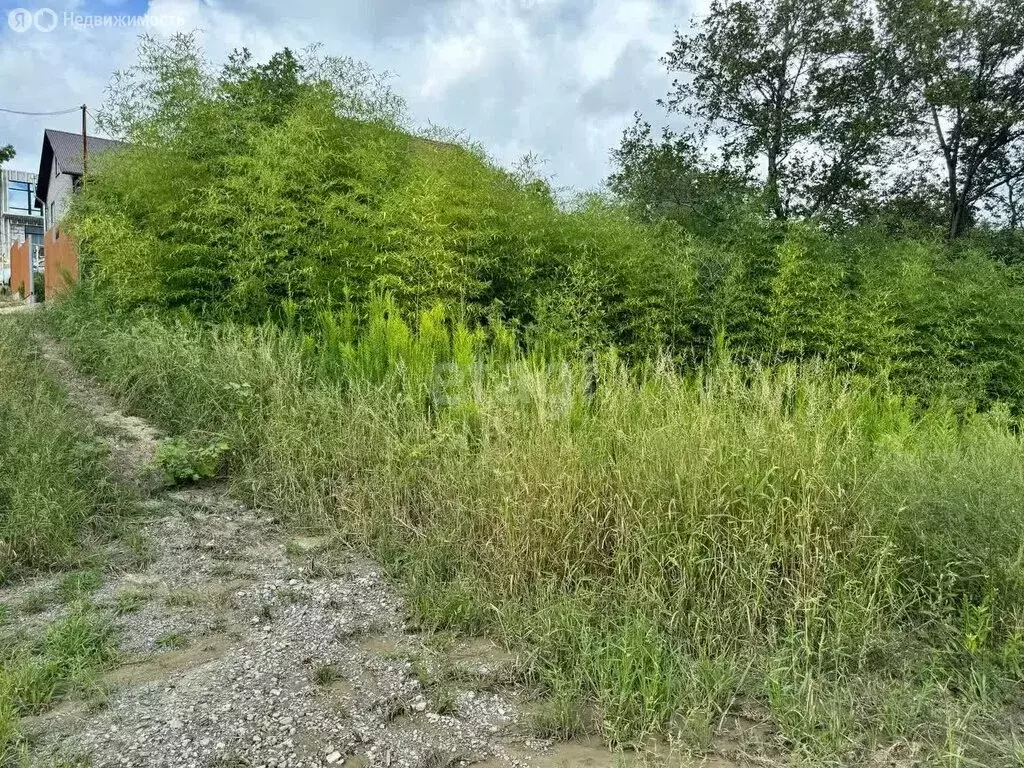 Участок в Краснодарский край, городской округ Сочи, село Высокое, ... - Фото 0