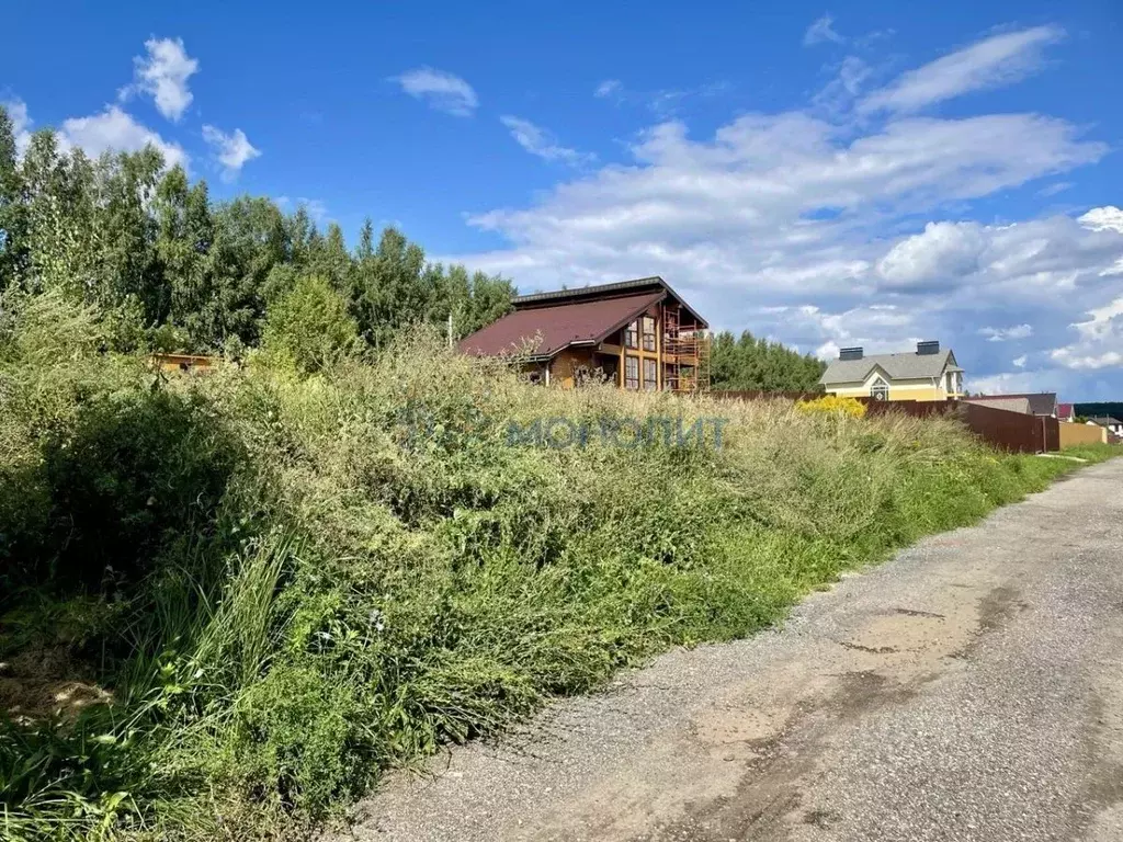 Участок в Нижегородская область, Богородский муниципальный округ, д. ... - Фото 1
