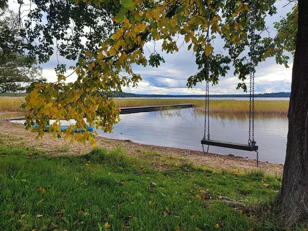Участок в Ленинградская область, Приозерский район, Плодовское с/пос, ... - Фото 2