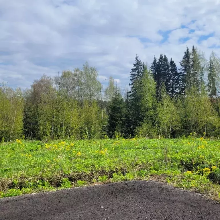 Участок в Московская область, Солнечногорск городской округ, д. ... - Фото 2