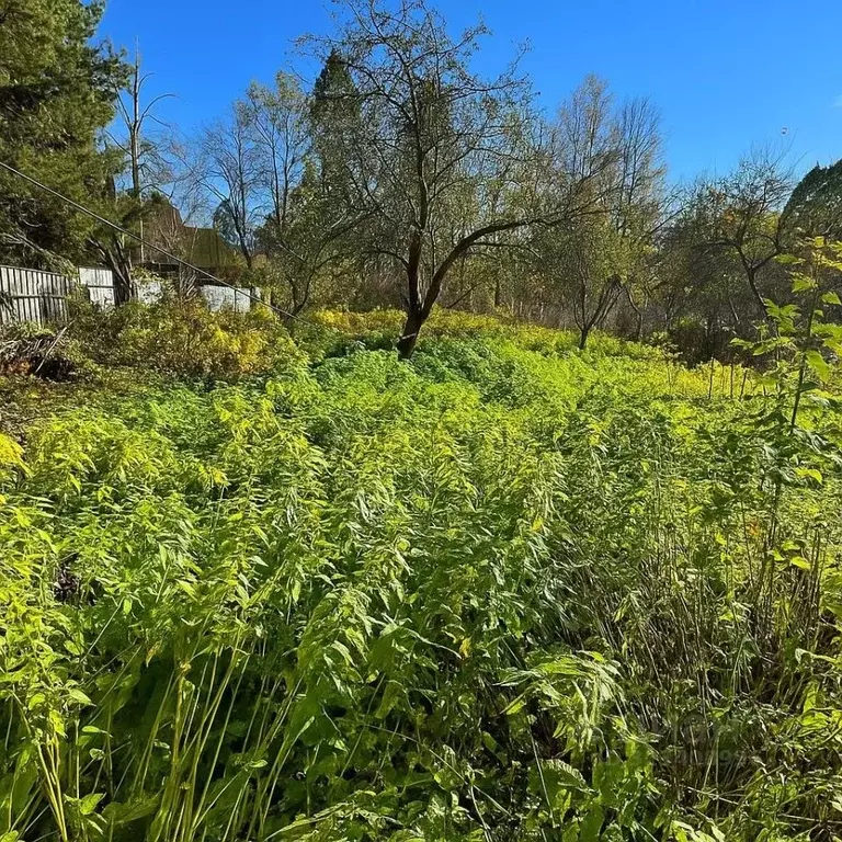 Участок в Московская область, Щелково городской округ, Загорянский пгт ... - Фото 1