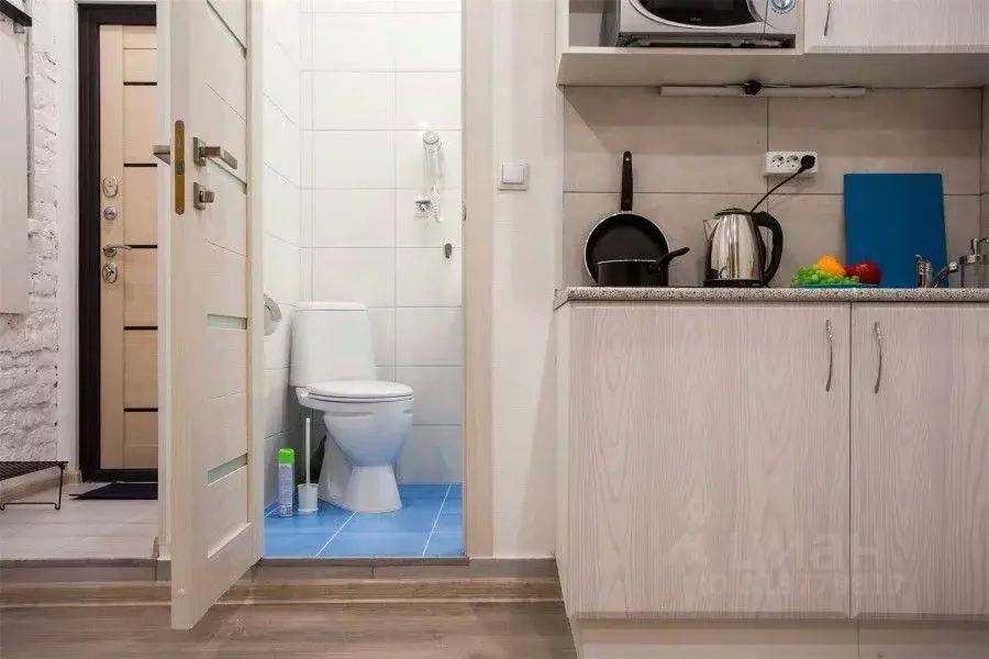 Студия Санкт-Петербург ул. Рубинштейна, 22 (19.0 м) - Фото 1