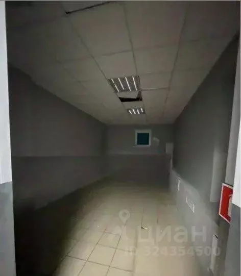 Помещение свободного назначения в Татарстан, Казань просп. Победы, 19А ... - Фото 2