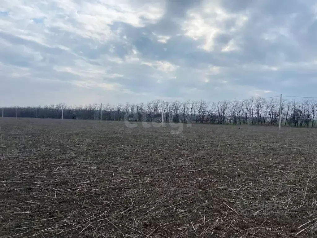 Участок в Ростовская область, Мясниковский район, с. Большие Салы ул. ... - Фото 1