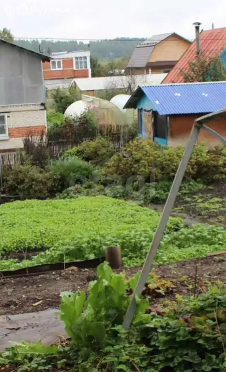 Участок в Миасс, коллективный сад Железнодорожник (3.14 м) - Фото 2