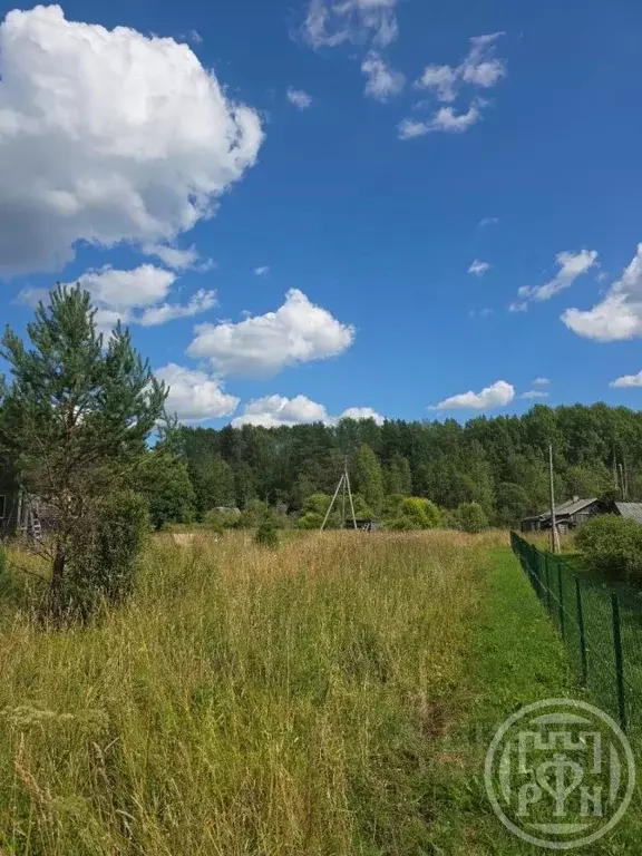 Участок в Ленинградская область, Приозерский район, Севастьяновское ... - Фото 2