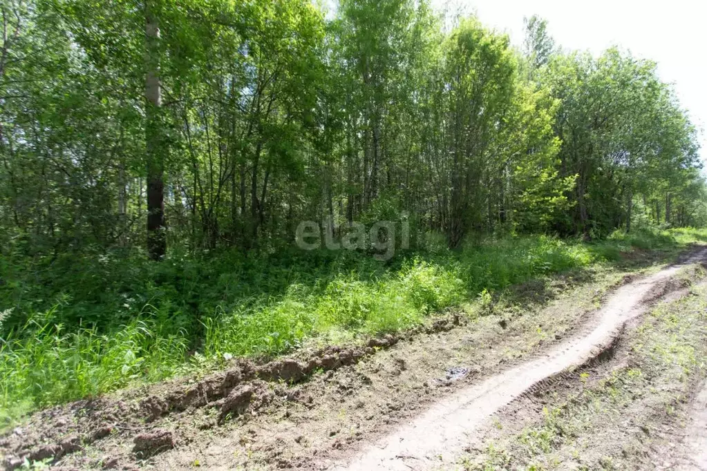 Участок в Тюменская область, Тобольск Усадьба мкр,  (10.0 сот.) - Фото 1