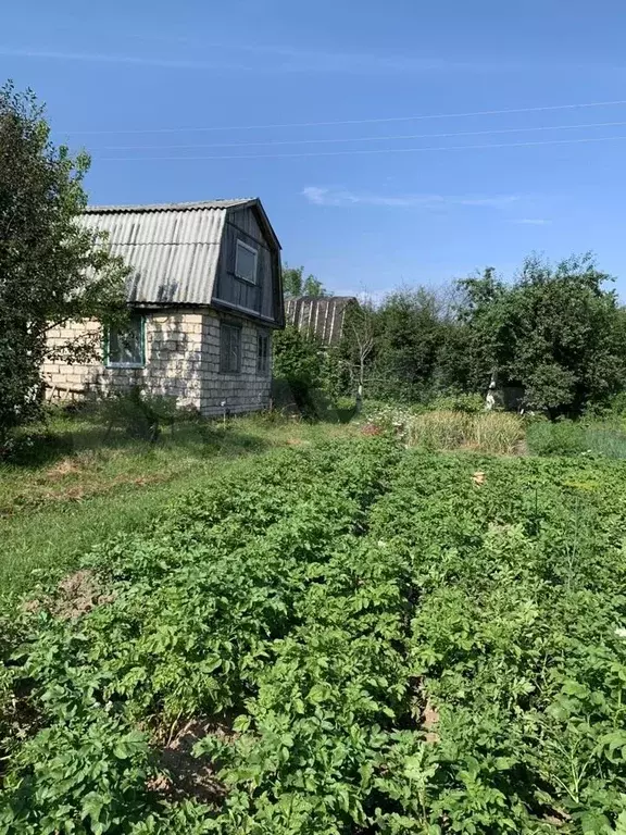 Садоводства арзамас