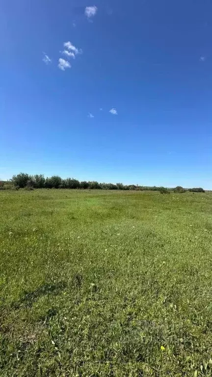 Участок в Саха (Якутия), Якутск городской округ, с. Владимировка ул. ... - Фото 2