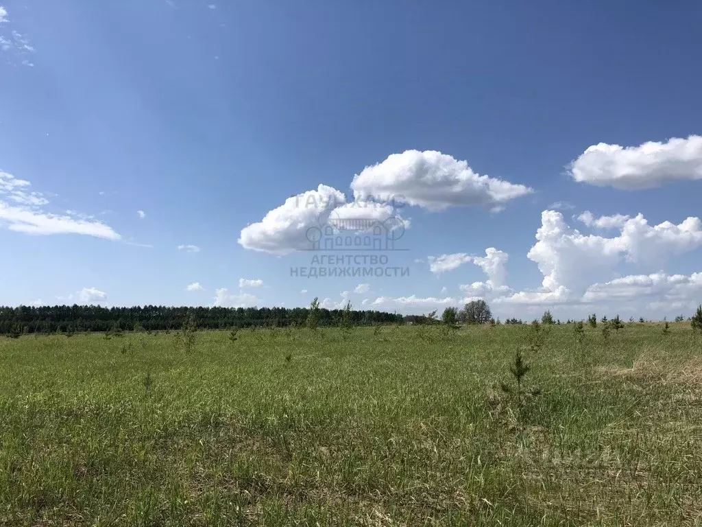 Участок в Башкортостан, Краснокамский район, Кариевский сельсовет, д. ... - Фото 0