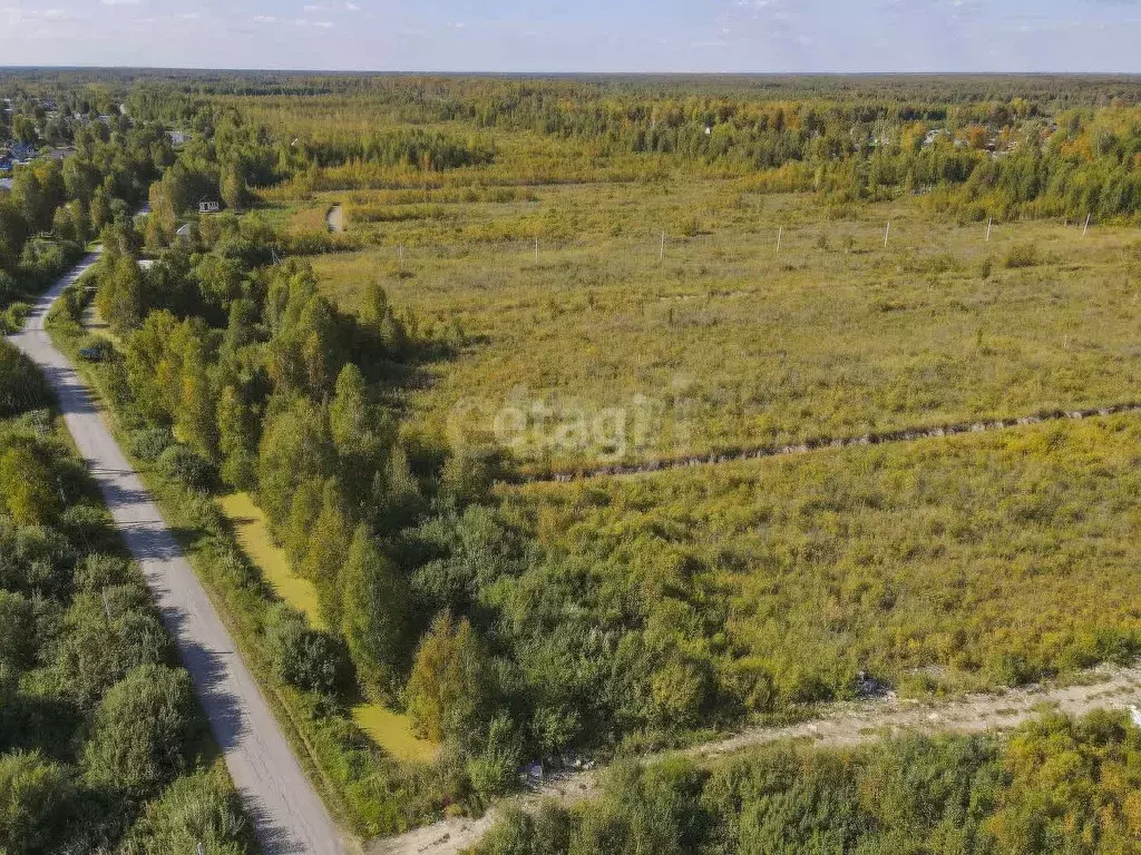 Участок в Тюменская область, Нижнетавдинский муниципальный округ, ... - Фото 2