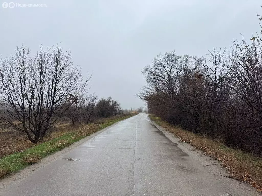 Участок в Куйбышевское сельское поселение, хутор Вязовка (15 м) - Фото 1