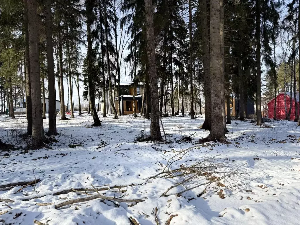 Участок в Московская область, Химки Сходня Форест Парк кп,  (7.0 сот.) - Фото 2