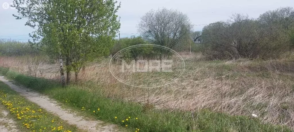 Участок в Калининград, СНТ Родник, Дачная улица, 386 (12 м) - Фото 1