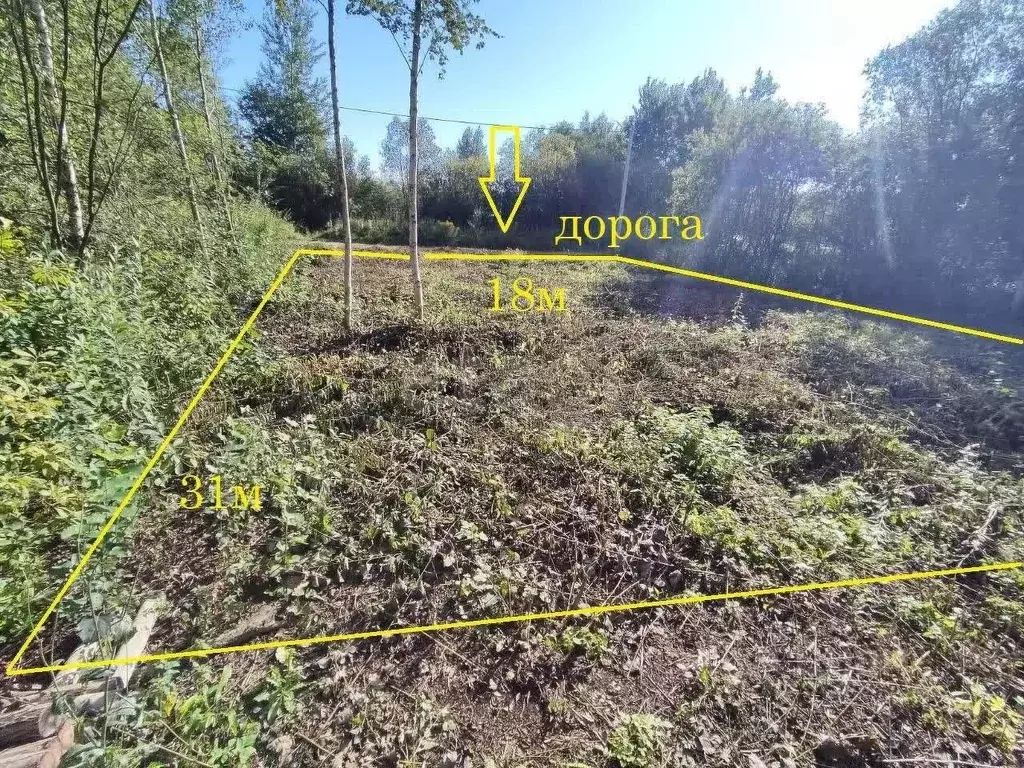 Участок в Вологодская область, Вологда аллея 12-я (6.0 сот.) - Фото 0