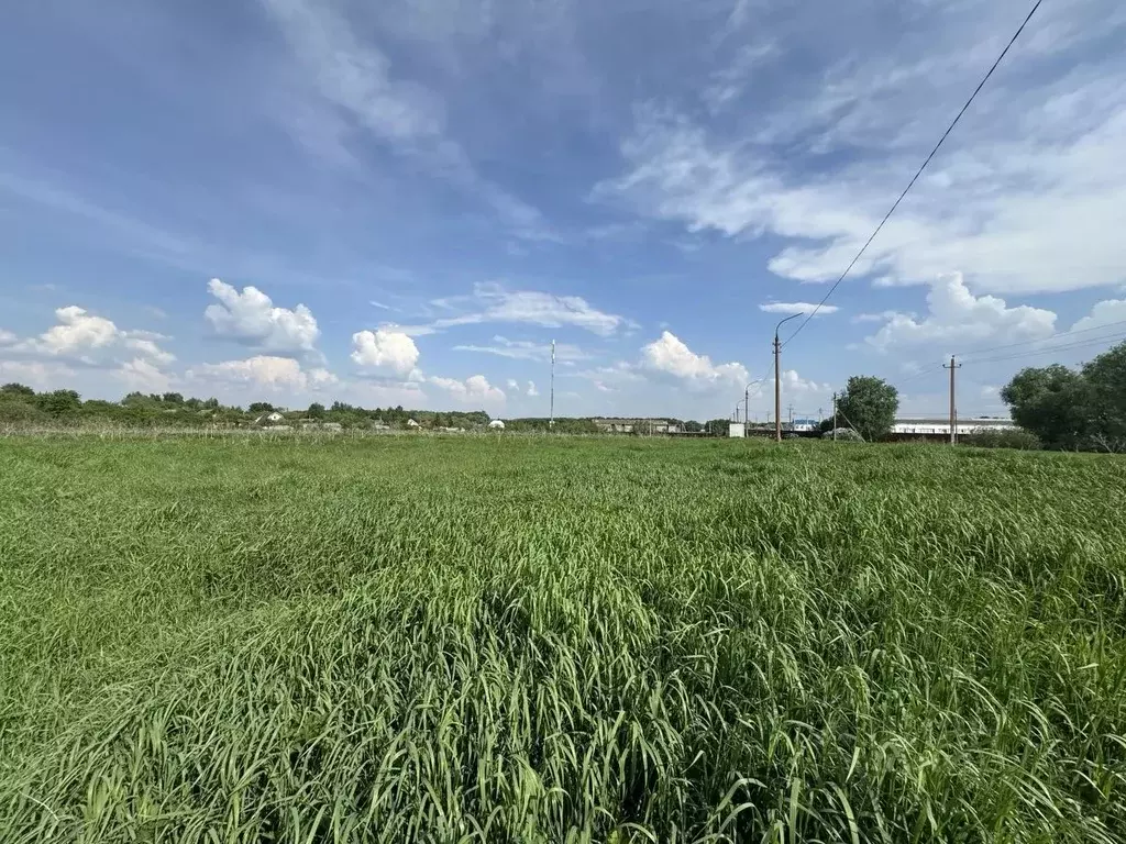 Участок в Московская область, Воскресенск городской округ, д. Ратчино  ... - Фото 1