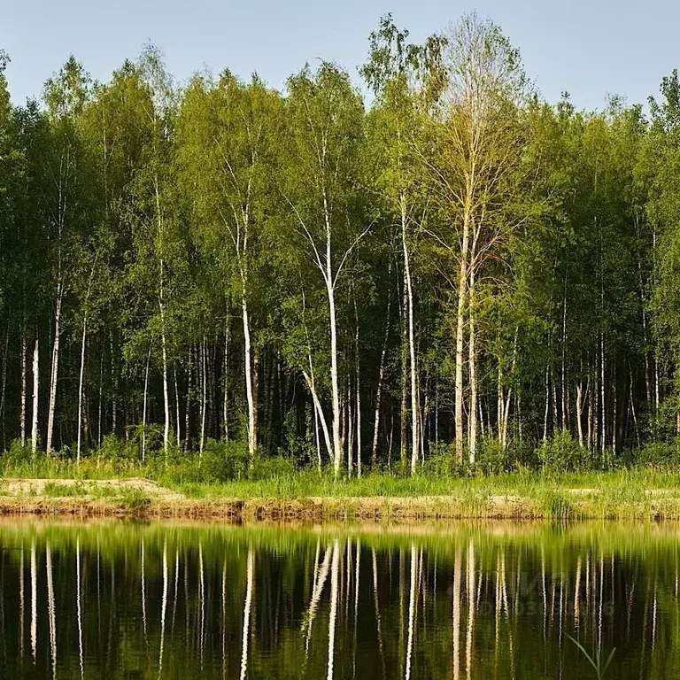 Дом в Владимирская область, Киржачский район, Филипповское ... - Фото 1