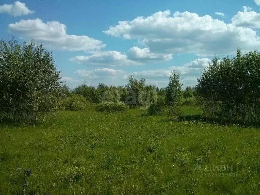 Участок в Калужская область, Ферзиковский муниципальный округ, ... - Фото 1